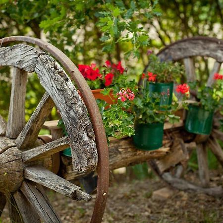 Villa Titti B&B Orciano di Pesaro Luaran gambar