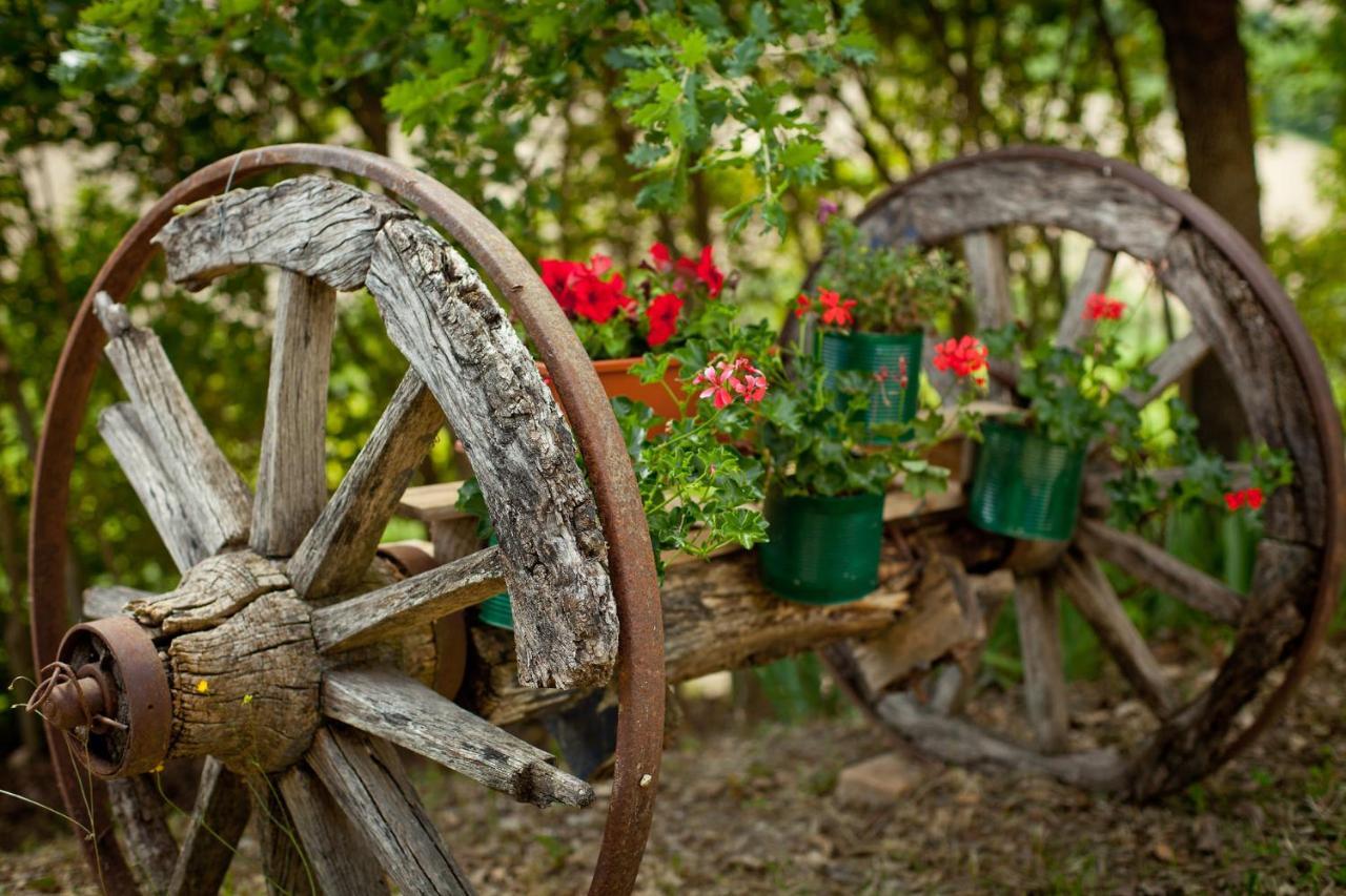 Villa Titti B&B Orciano di Pesaro Luaran gambar