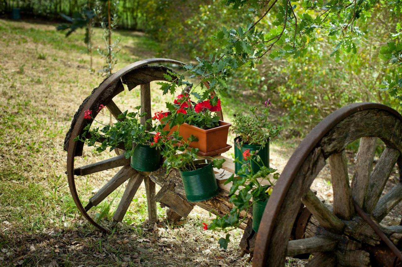 Villa Titti B&B Orciano di Pesaro Luaran gambar